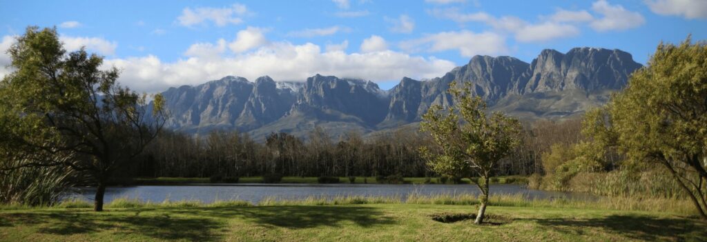 Western Cape Winery